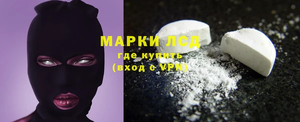 шишки Беломорск