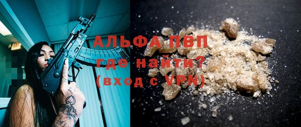 шишки Беломорск