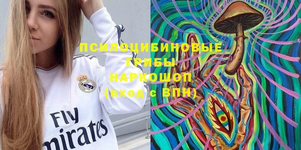 шишки Беломорск