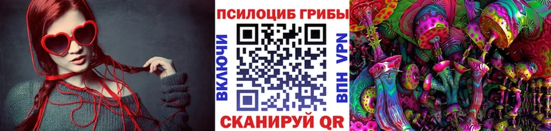Псилоцибиновые грибы мицелий  Билибино 