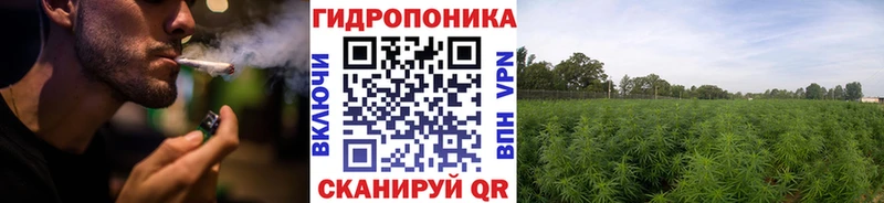купить наркотики сайты  Билибино  Бошки Шишки тримм 